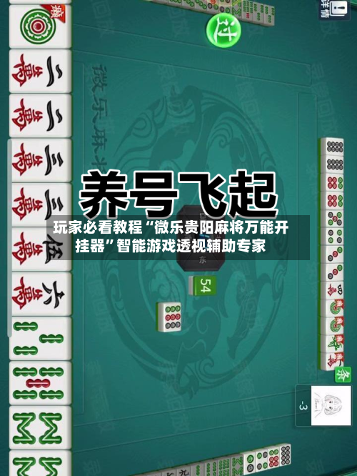 玩家必看教程“微乐贵阳麻将万能开挂器”智能游戏透视辅助专家-第1张图片