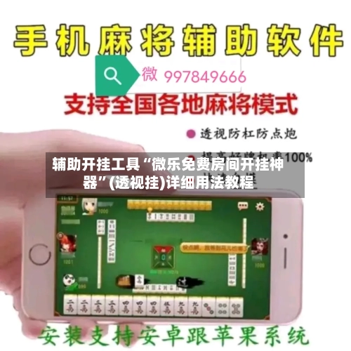 辅助开挂工具“微乐免费房间开挂神器”(透视挂)详细用法教程-第3张图片