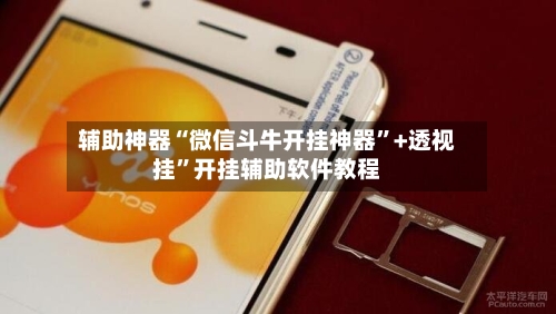 辅助神器“微信斗牛开挂神器”+透视挂”开挂辅助软件教程-第1张图片