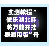 实测教程“微乐湖北麻将万能开挂器通用版	”开挂辅助脚本+详细开挂安装教程-第2张图片