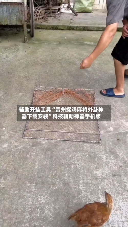 辅助开挂工具“贵州捉鸡麻将外卦神器下载安装	”科技辅助神器手机版-第1张图片