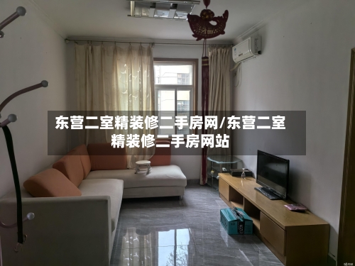 东营二室精装修二手房网/东营二室精装修二手房网站-第3张图片