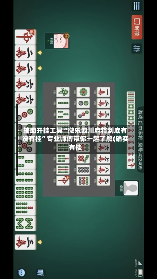 辅助开挂工具“微乐四川麻将到底有没有挂”专业师傅带你一起了解(确实有挂-第2张图片