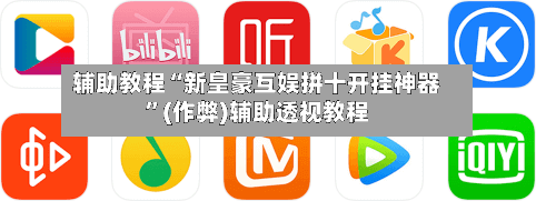 辅助教程“新皇豪互娱拼十开挂神器”(作弊)辅助透视教程-第3张图片