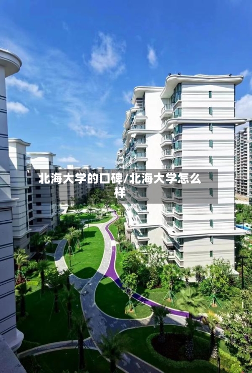 北海大学的口碑/北海大学怎么样-第2张图片