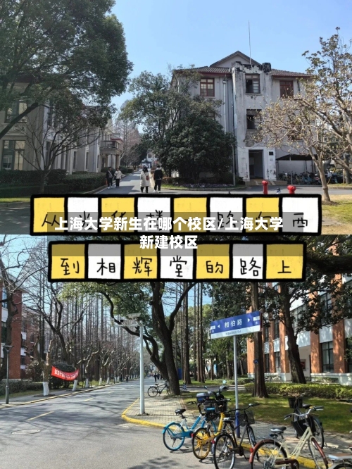 上海大学新生在哪个校区/上海大学新建校区-第1张图片