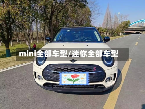 mini全部车型/迷你全部车型-第2张图片