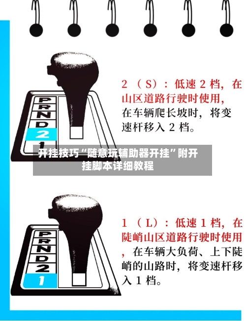 开挂技巧“随意玩辅助器开挂”附开挂脚本详细教程-第3张图片