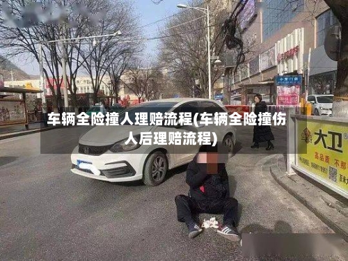 车辆全险撞人理赔流程(车辆全险撞伤人后理赔流程)