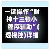 一键操作“财神十三张小程序辅助	”(透视挂)详细用法教程-第2张图片
