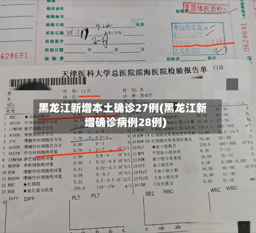 黑龙江新增本土确诊27例(黑龙江新增确诊病例28例)