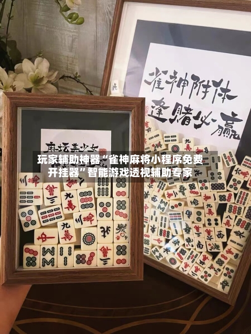 玩家辅助神器“雀神麻将小程序免费开挂器	”智能游戏透视辅助专家-第1张图片
