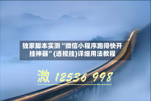 独家脚本实测“微信小程序跑得快开挂神器”(透视挂)详细用法教程-第1张图片