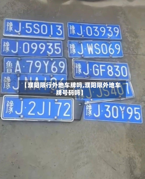 【濮阳限行外地车牌吗,濮阳限外地车牌号码吗】-第3张图片