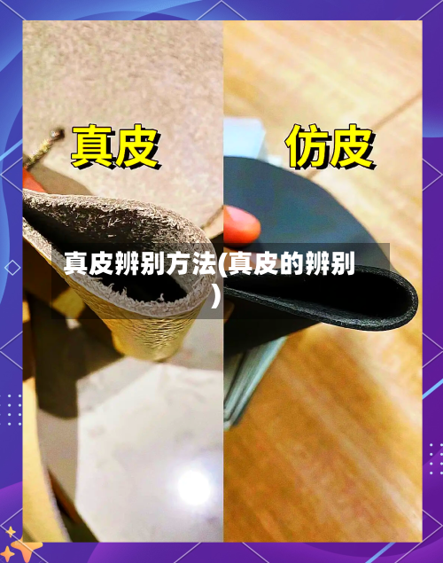 真皮辨别方法(真皮的辨别)-第1张图片