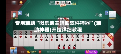 专用辅助“微乐地主辅助软件神器	”(辅助神器)开挂详细教程-第3张图片