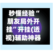 秒懂经验“朋友局外开挂”开挂(透视)辅助神器-第3张图片