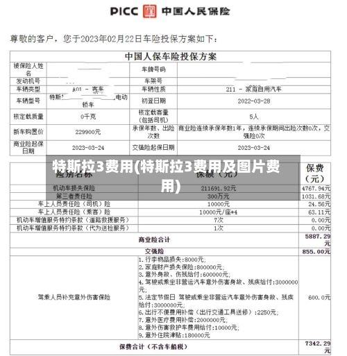 特斯拉3费用(特斯拉3费用及图片费用)