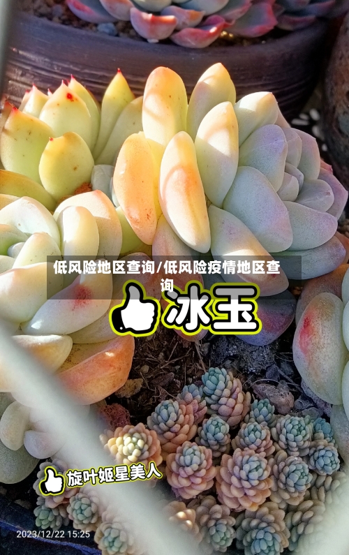 低风险地区查询/低风险疫情地区查询