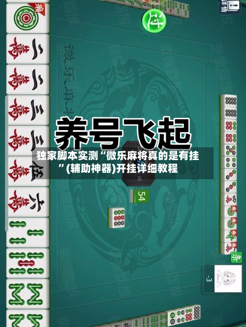 独家脚本实测“微乐麻将真的是有挂”(辅助神器)开挂详细教程-第1张图片