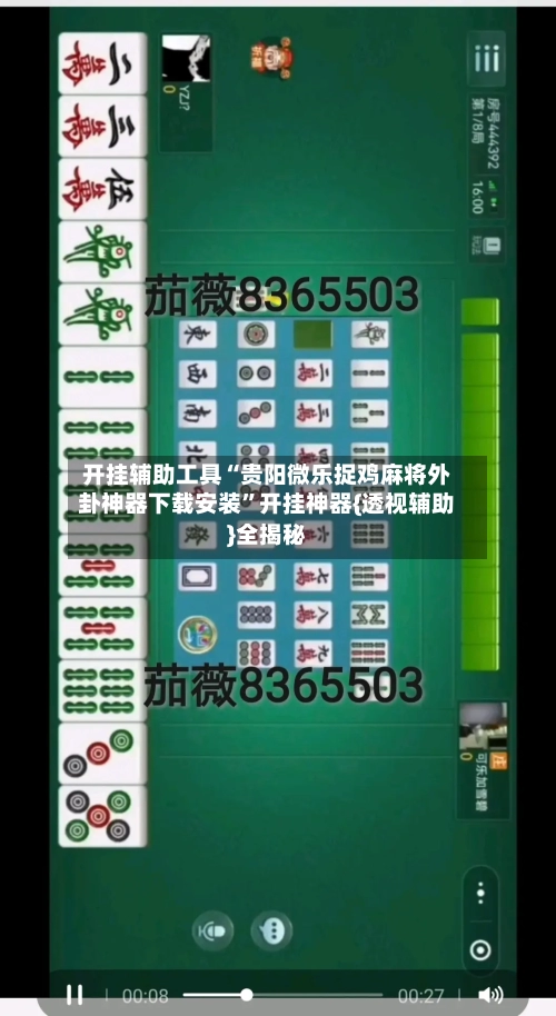 开挂辅助工具“贵阳微乐捉鸡麻将外卦神器下载安装”开挂神器{透视辅助}全揭秘