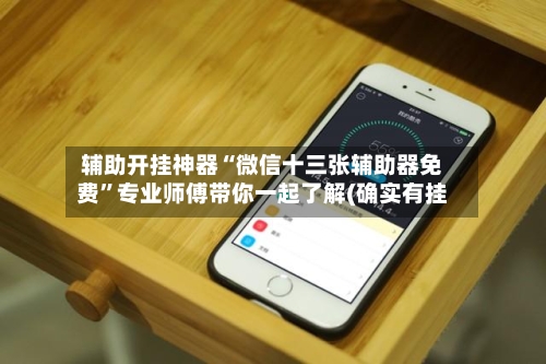 辅助开挂神器“微信十三张辅助器免费”专业师傅带你一起了解(确实有挂-第3张图片