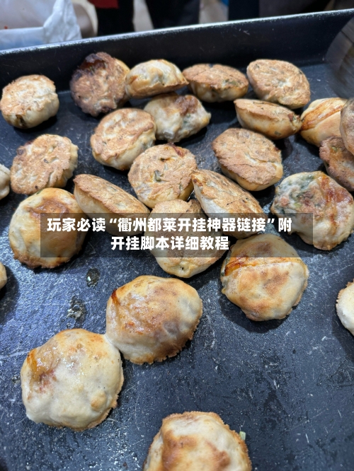 玩家必读“衢州都莱开挂神器链接”附开挂脚本详细教程