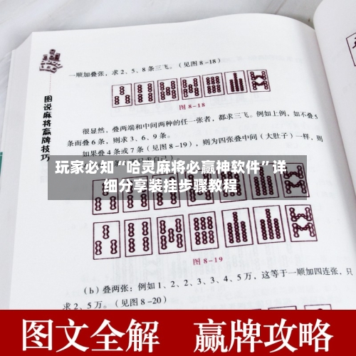 玩家必知“哈灵麻将必赢神软件	”详细分享装挂步骤教程-第2张图片