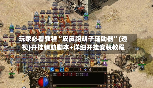 玩家必看教程“皮皮跑胡子辅助器”(透视)开挂辅助脚本+详细开挂安装教程
