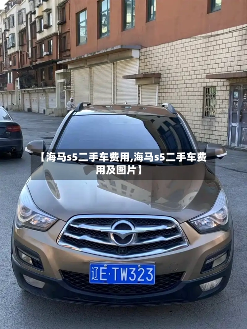 【海马s5二手车费用,海马s5二手车费用及图片】-第2张图片