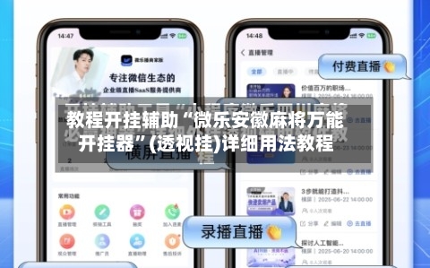 教程开挂辅助“微乐安徽麻将万能开挂器”(透视挂)详细用法教程-第3张图片