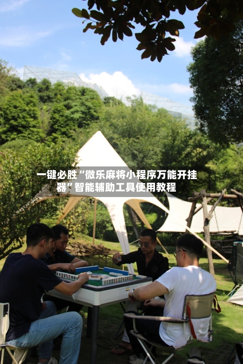 一键必胜“微乐麻将小程序万能开挂器”智能辅助工具使用教程-第1张图片