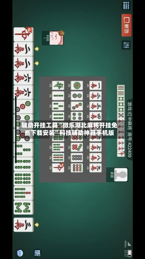 辅助开挂工具“微乐湖北麻将开挂免费下载安装	”科技辅助神器手机版-第2张图片