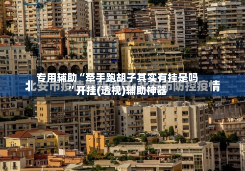 专用辅助“牵手跑胡子其实有挂是吗”开挂(透视)辅助神器-第3张图片