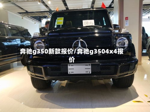 奔驰g350新款报价/奔驰g3504x4报价-第1张图片
