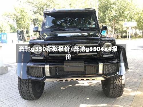奔驰g350新款报价/奔驰g3504x4报价-第2张图片