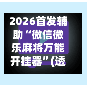 2026首发辅助“微信微乐麻将万能开挂器”(透视挂)详细用法教程-第1张图片