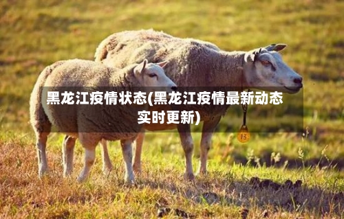 黑龙江疫情状态(黑龙江疫情最新动态实时更新)
