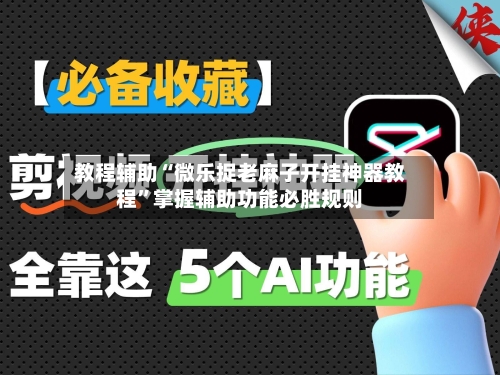教程辅助“微乐捉老麻子开挂神器教程”掌握辅助功能必胜规则