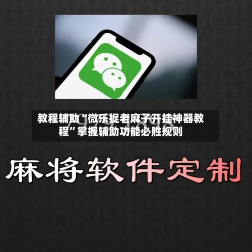 教程辅助“微乐捉老麻子开挂神器教程	”掌握辅助功能必胜规则-第3张图片