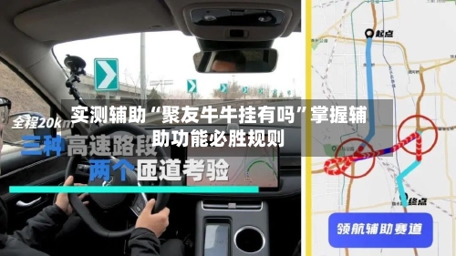实测辅助“聚友牛牛挂有吗”掌握辅助功能必胜规则