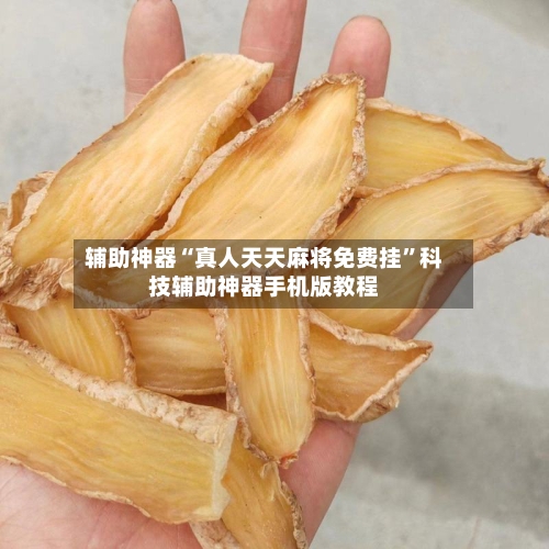 辅助神器“真人天天麻将免费挂”科技辅助神器手机版教程
