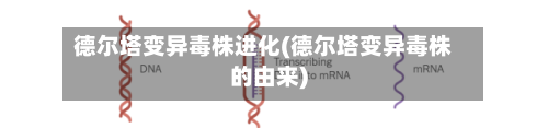 德尔塔变异毒株进化(德尔塔变异毒株的由来)-第2张图片
