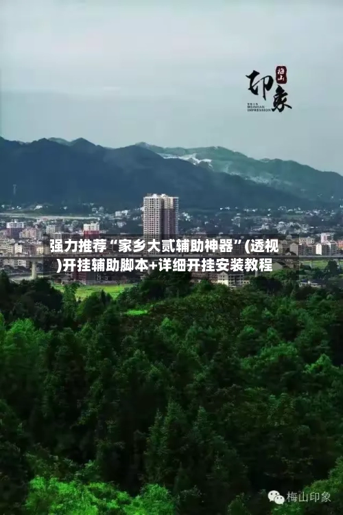 强力推荐“家乡大贰辅助神器”(透视)开挂辅助脚本+详细开挂安装教程