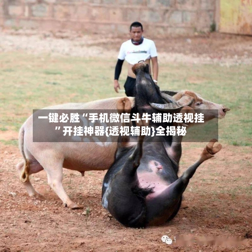 一键必胜“手机微信斗牛辅助透视挂	”开挂神器{透视辅助}全揭秘-第2张图片