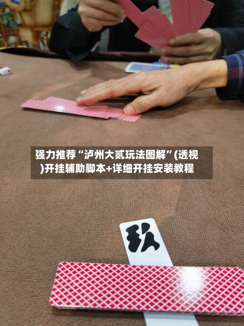 强力推荐“泸州大贰玩法图解”(透视)开挂辅助脚本+详细开挂安装教程-第1张图片