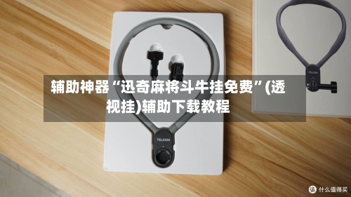 辅助神器“迅奇麻将斗牛挂免费”(透视挂)辅助下载教程-第2张图片