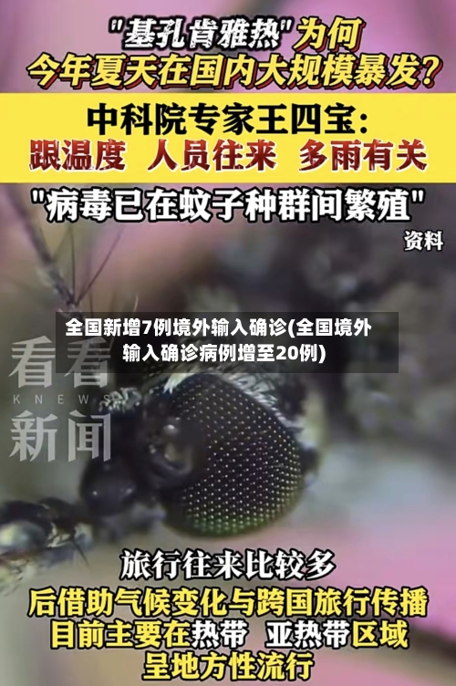 全国新增7例境外输入确诊(全国境外输入确诊病例增至20例)