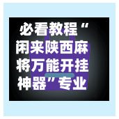 必看教程“闲来陕西麻将万能开挂神器”专业师傅带你一起了解(确实有挂-第1张图片