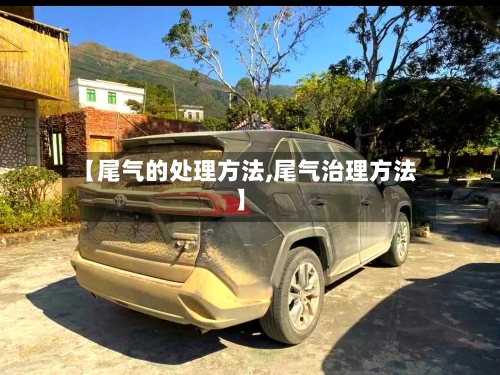 【尾气的处理方法,尾气治理方法】